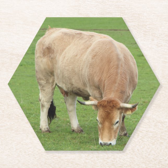 Porta-copo De Papel Vaca Nantaise num campo (Frente)