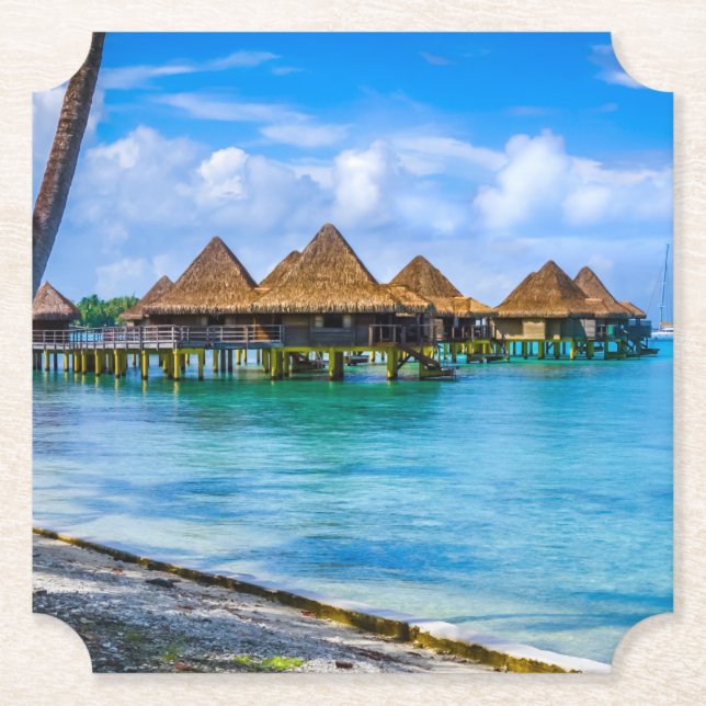 Porta-copo De Papel Vivendo na água (Frente)