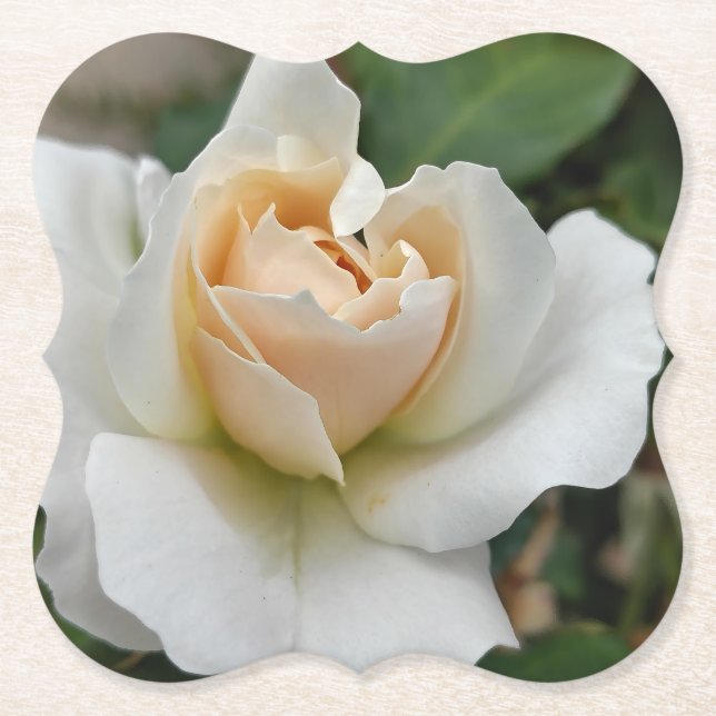 Porta-copo De Papel White Rose (Frente)