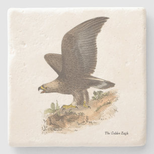 Porta-copo De Pedra A Águia Ouro (Aquila chrysaetos) NY Imagem do Páss
