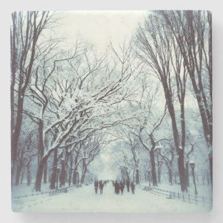 Porta-copo De Pedra A alameda do Central Park no inverno