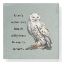 A beautiful white wise Owl