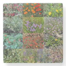 A Blooming California: Double Rainbow 2020