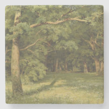 A Limpeza Florestal (Cena de Paisagem Florestal)