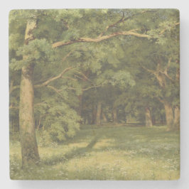 Porta-copo De Pedra A Limpeza Florestal (Cena de Paisagem Florestal)