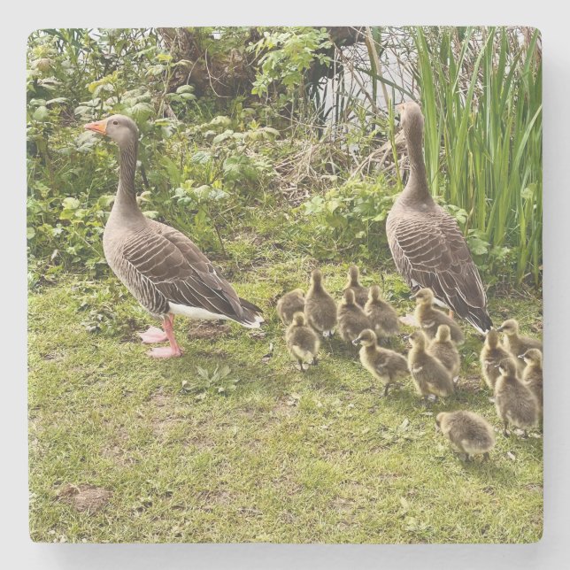 Porta-copo De Pedra A vida do Pato. (Frente)