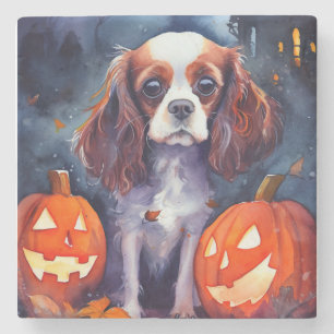 Porta-copo De Pedra Abóbora de Cavalier King Charles Spaniel no Hallow