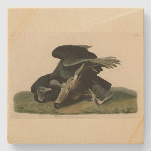 Porta-copo De Pedra Abutre Negro, das Aves da América de Audubon