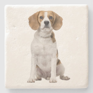 Porta-copo De Pedra Adoção de Cachorro Mãe Beagle Fofinha Pai de Cacho