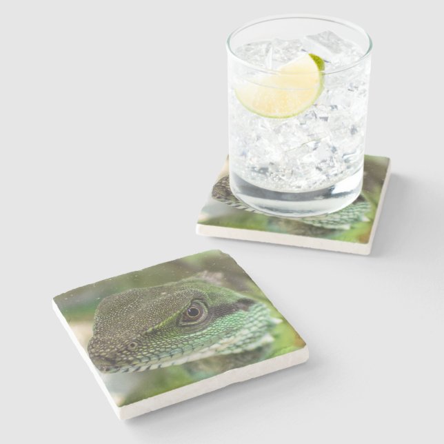 Porta-copo De Pedra Agama, lagarto (Lateral)