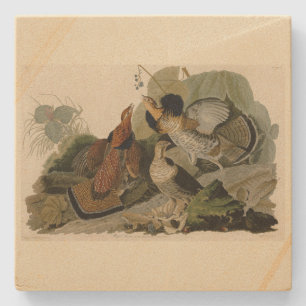 Porta-copo De Pedra Agrupamento Rachado - das Aves da América de Audub