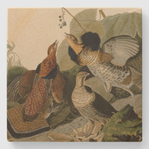 Porta-copo De Pedra Agrupamento Rachado - das Aves da América de Audub