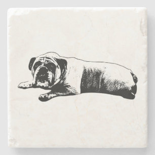 Porta-copo De Pedra Ainda Bulldog, Linhas Fortes