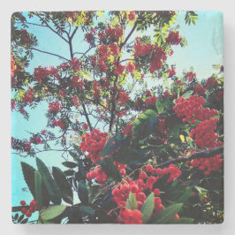 Porta-copo De Pedra Airelas vermelhas