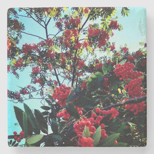 Porta-copo De Pedra Airelas vermelhas (Frente)