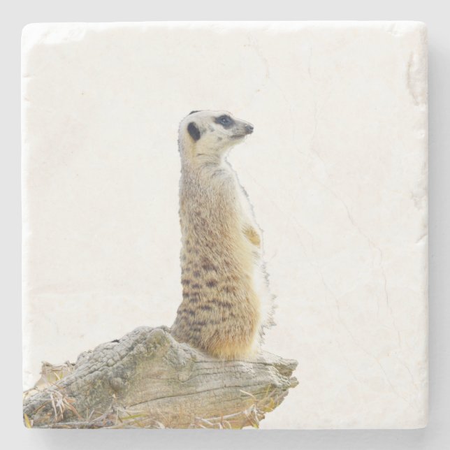 Porta-copo De Pedra Alertar Meerkat Em Função De Guarda, (Frente)