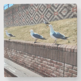 Porta-copo De Pedra Algas