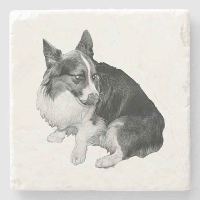 Porta-copo De Pedra Almôndega De Taça, Amigo De Foxy (Frente)