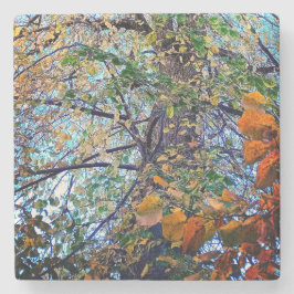 Porta-copo De Pedra Alteração das folhas