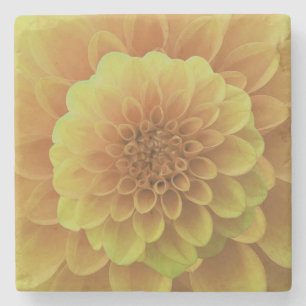 Porta-copo De Pedra Amarelo Dahlia