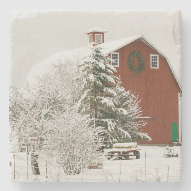 Porta-copo De Pedra América do Norte, EUA, WA, Ilha de Whidbey. (Frente)