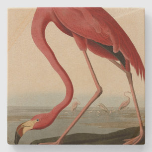 Porta-copo De Pedra American Flamingo, das Aves da América de Audubon