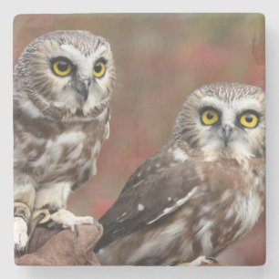 Porta-copo De Pedra Amigos