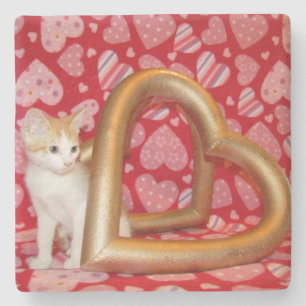 Porta-copo De Pedra Amor, Annie - Kitten / Cat Porta copos
