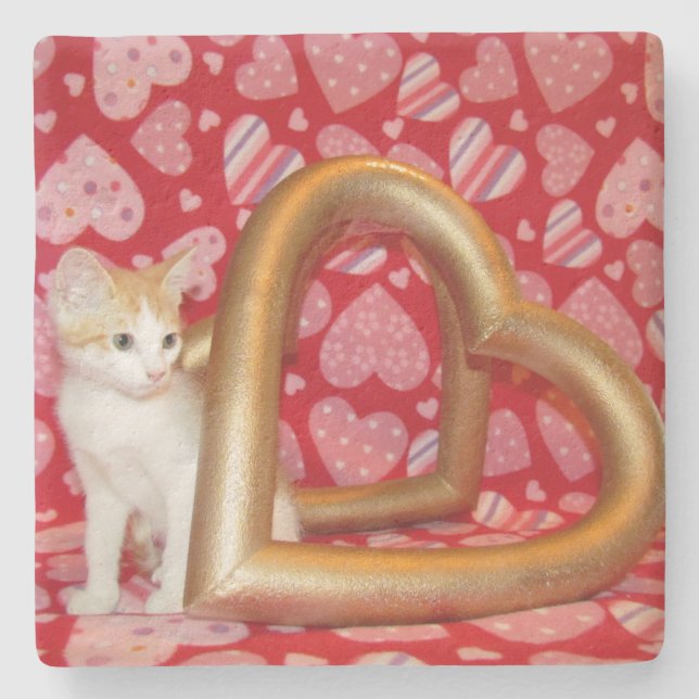 Porta-copo De Pedra Amor, Annie - Kitten / Cat Porta copos (Frente)