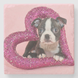 Porta-copo De Pedra Amor de filhote de cachorro das imagens de Getty