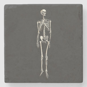 Porta-copo De Pedra Anatomia do Esqueleto Humano Desenho de Arte Pop C