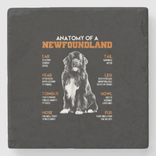 Porta-copo De Pedra Anatomia Engraçada De Cães Da Terra Nova