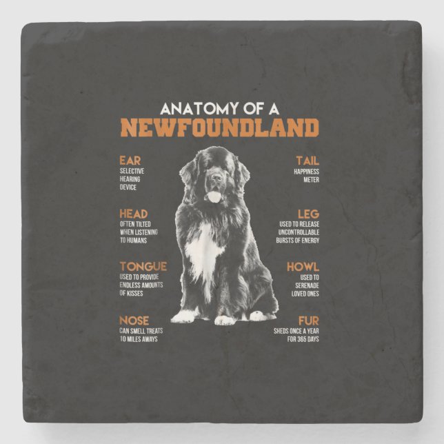 Porta-copo De Pedra Anatomia Engraçada De Cães Da Terra Nova (Frente)
