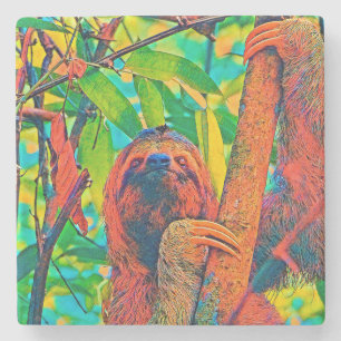 Porta-copo De Pedra AnimalColor_Sloth_003