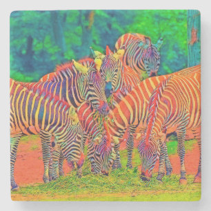 Porta-copo De Pedra AnimalColor_Zebra_002