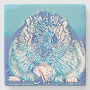 Porta-copo De Pedra AnimalMix_Hamster_003