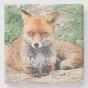 Porta-copo De Pedra AnimalPaint_Fox_20171201_by_JAMColors