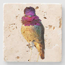 Porta-copo De Pedra Anna's Hummingbird Pink Bird Photo Stone Coaster