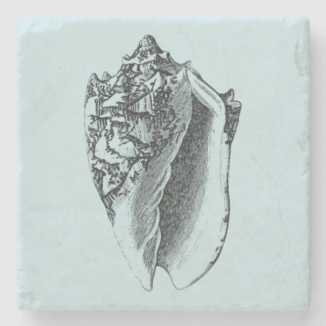 Porta-copo De Pedra Aqua Conch Shell (Frente)