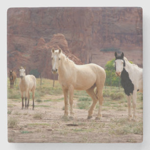 Porta-copo De Pedra Arizona, Reserva Indígena Navajo, Chinle,