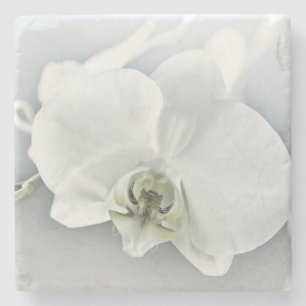 Porta-copo De Pedra Arte Botânica de Orquídea Branca Elegante