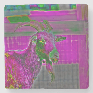 Porta-copo De Pedra Arte de Goat