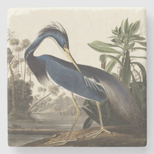 Porta-copo De Pedra Arte de Pássaro Garça da Louisiana Audubon Vintage