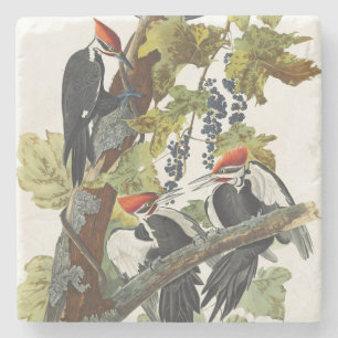 Porta-copo De Pedra Arte de Pássaro Pica-Pau-Grande Audubon Vintage