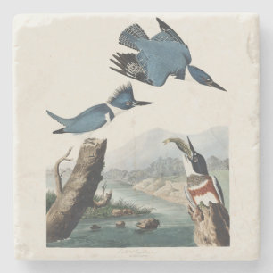 Porta-copo De Pedra Arte de Pássaro Rei-Cintado Audubon Vintage