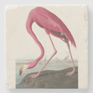 Porta-copo De Pedra Arte de Pássaro Rosa Flamingo Americano Audubon Vi