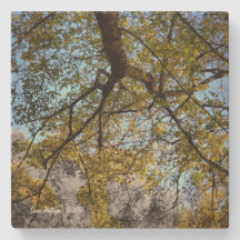 Árvore Amarela no outono