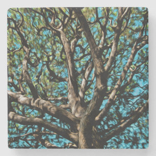 Porta-copo De Pedra Árvore de Carvalho