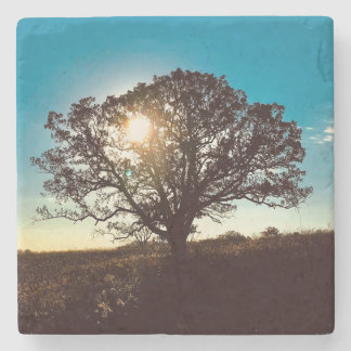 Porta-copo De Pedra Árvore de carvalho de ferro na Porta copos do nasc