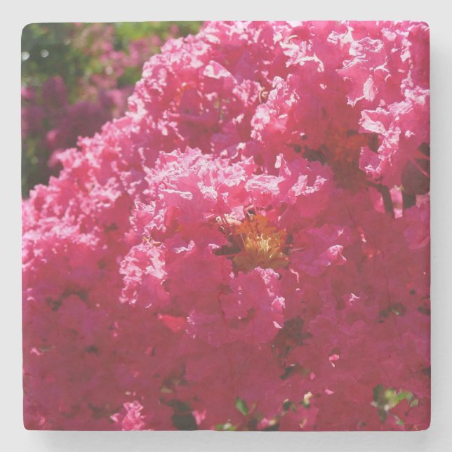 Porta-copo De Pedra Árvore de Crape Myrtle Flor Magenta (Frente)